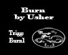 Burn By Usher