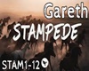 Stampede