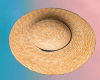 Summer hat Dec.