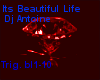 [R]Its Beautiful Life