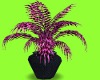 FE pink emo plant
