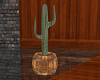 Cactus in a Barrel