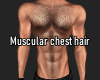 Muscular chest hair 5