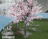 Zil: Spring  Sakuras
