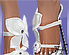 Sophia Heels 1