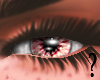 SF- Pink Eye F
