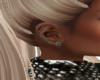 Black Diamond Ears