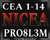 PRO8L3M - Nicea