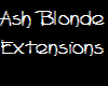 Ash Blonde Extensions