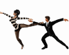 (KYS)Ballet Couple Dance
