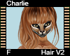 Charlie Hair F V2