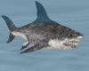 My Pet Shark! [Trigger]