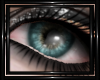 !T! Eyes | Dahlia B