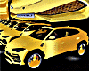 Gold Lamborghini Jeep