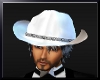 ~T~Wh/Silver Cowboy Hat