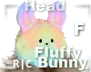 R|C Fluffy Bunny Color F