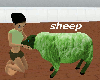 Voice SHEEP