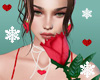 Red Rose For You AVI