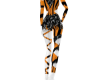 EA majorette 1