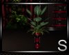 !!Soulmate Plant