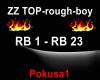 ZZ TOP rough-boy