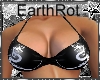 Sube EarthRot Request