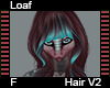 Loaf Hair F V2