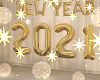 2021 New Year *Photo R