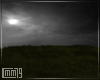 C79|Moonlit Night