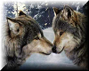 Jos wolves 2