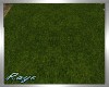 ZY: Perfect Garden Grass