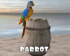 *Parrot