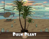*Palm Plant