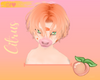 SA♥ Citrus Hair V8