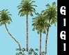 PALM TREES