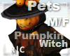 R|C Pumpkin Witch 4 M/F