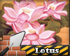 HomeKit Wall 01 Lotus