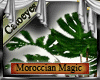 {CT}Moroccian plant vas