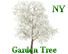 NY| Garden Tree Celtis 