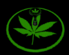 Weed Platform DJ Room