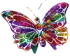 Colored Butterfly