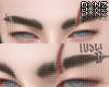死 003 Brown Brows++