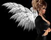 SL Fairy Angel Wings