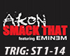 ~M~ Akon - Smack That