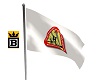 SFA Ani Flag