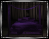Purple/Black Bed w/poses