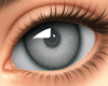 Dream Gray Eyes