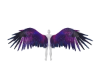 -DS- M glow wings