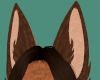 Foxy Ears/SP