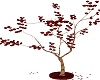 Wedding Kiss Of Tree